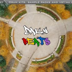 This is how it went Rap Beat