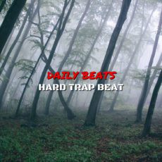 Break Da Flow Trap Beat